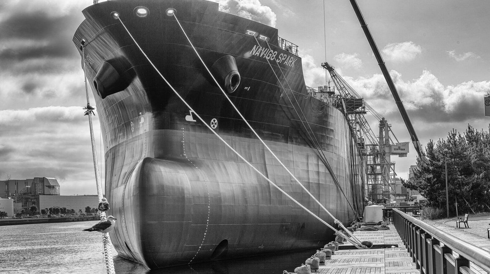 映画　次郎長社長と石松社員　安木ぶし道中