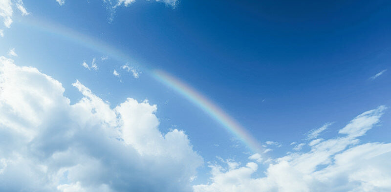 映画　虹をわたって