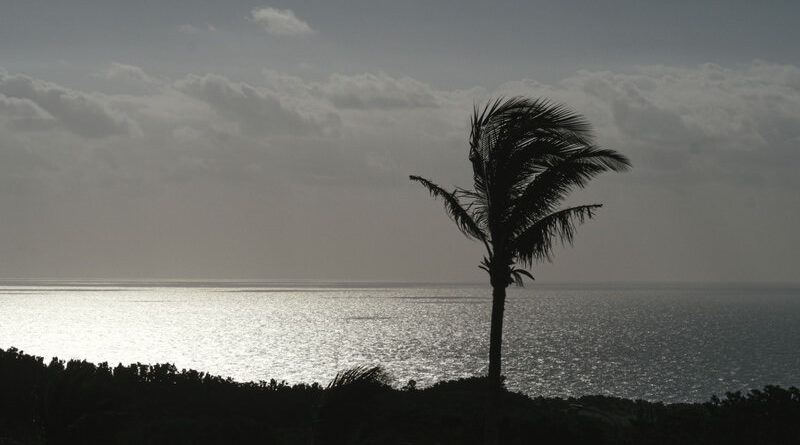 映画 ザ・スパイダースのバリ島珍道中