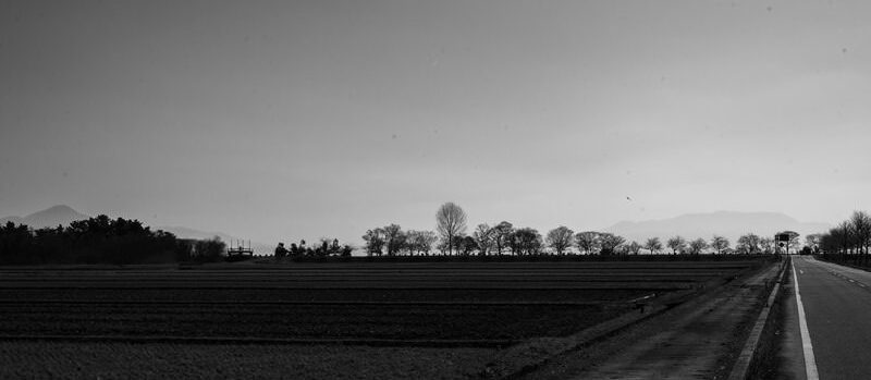 映画　しあわせの一番星