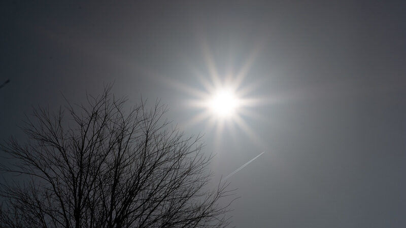 映画　さらば夏の光よ