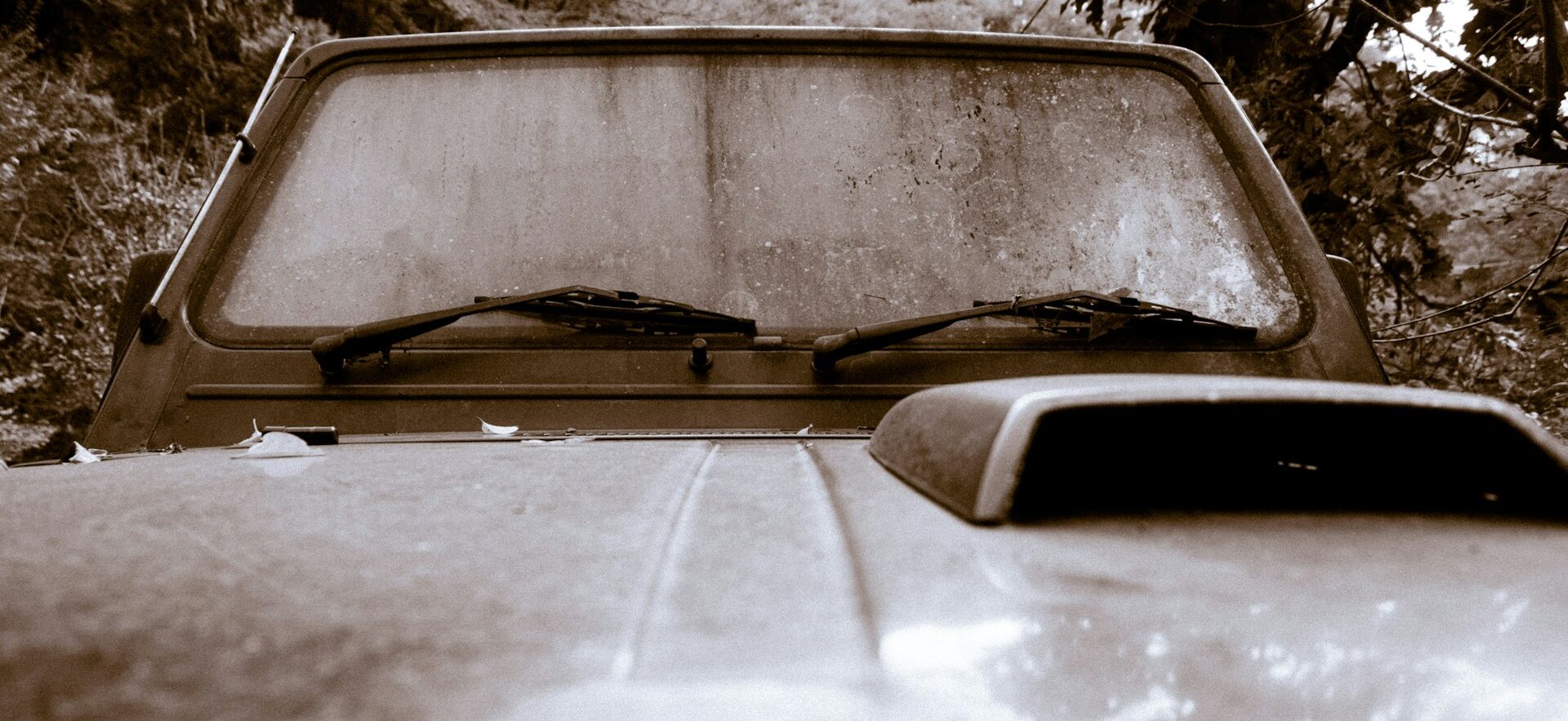 映画　ぽんこつ