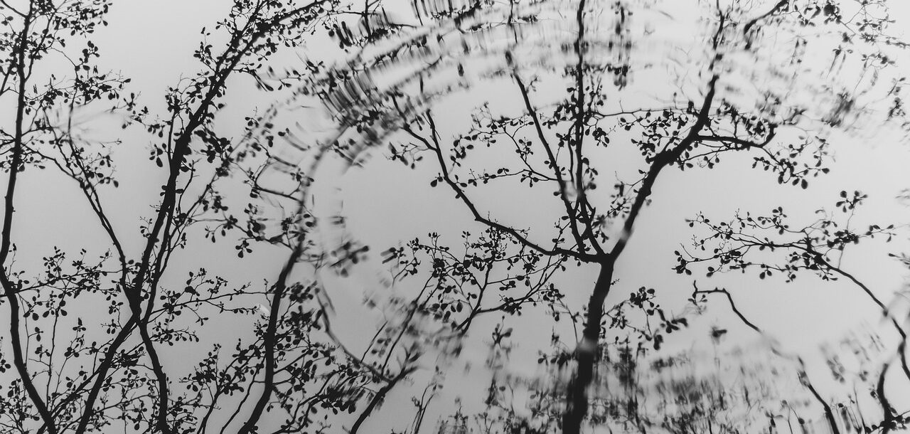 映画　今日もまたかくてありなん