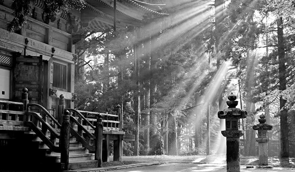 映画　美しい庵主さん