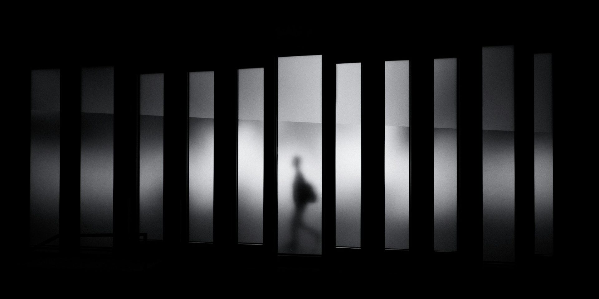 映画　散歩する霊柩車